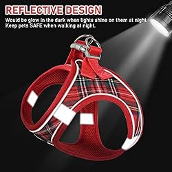 GAMUDA Small Pet Harness Collar and Leash Set, Step