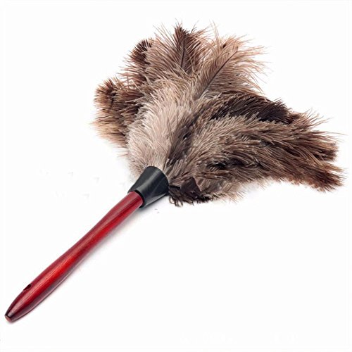 Sky Fish Ostrich Cleaning Feather Duster Ostrich Duster Ostrich Feather Duster Soft Feathers Duster From furniture to fan blades of various jobs natural color
