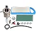 Hipa 594593 Carburetor with Tune-up Kit for 591731 796109 797008 491055S