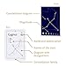 CARDDIA | The 88 Astronomical Constellations Educational Flashcards | Ideal for Astronomy Students and Educators