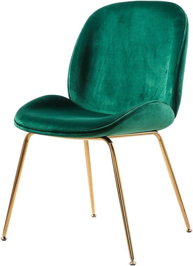 XiYunHan Northern Europe metal Beetle chair modern Simple Dining chair lounge chair computer chair Creativity Cafe chair blue purple green cyan (Color : Green)