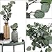 CEWOR Artificial Silver Dollar Eucalyptus Stems 6pcs Artificial Eucalyptus Leaves Fake Plants Artificial Leaves for Home Decoration