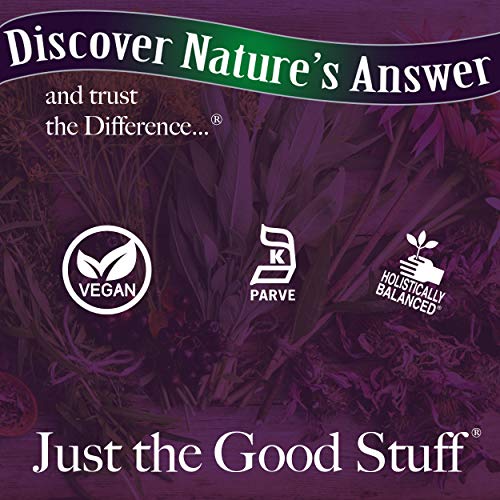Nature's Answer Burdock Root, 90-Count Capsules Antioxidant Burdock Root