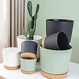 ZMTECH 16.5cm Plant Pots Set of 2 White Plastic Planters with Drainage Holes view 5