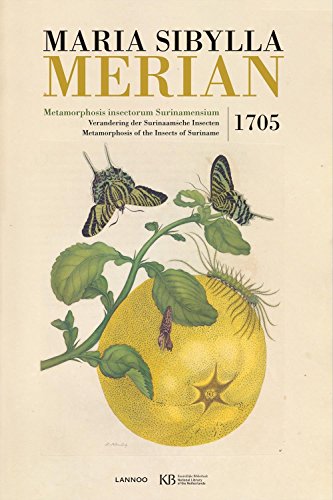 Maria Sibylla Merian: Metamorphosis Insectorum Surinamensium