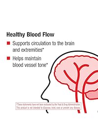 Nature's Way Ginkgold Max 120 mg, 15251, 60, 1
