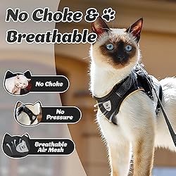 Supet Cat Harness and Leash Set for Walking and