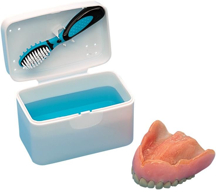 Dental Case & Brush