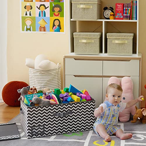 GRANNY SAYS Fabric Storage Bin with Lid, Closet Organizer Basket, Large