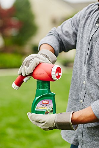 5 Ortho+Chickweed+Clover+Concentrate+16+Ounce