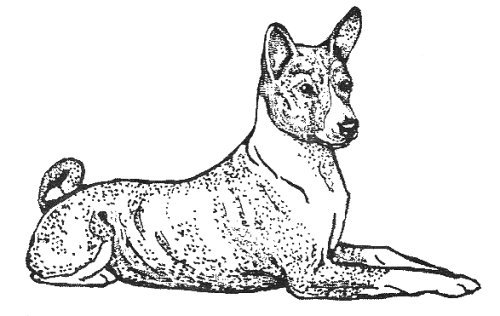Dog Rubber Stamp - Basenji-1F (Size: 2-3/4