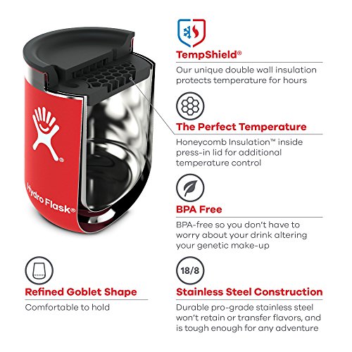 Hydro Flask 10 Wine Tumbler Vacuum Insulated Reusable Travel Wine  Glass