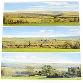 Gaugemaster GM702 Countryside Large Photo Backscene Age 11+