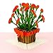 Paper Love Carnations Pop Up Card, Handmade 3D Popup Greeting Cards, For Valentines Day, Mothers Day, Fathers Day, Graduation, Wedding, Anniversary, Birthday, Love, Thank You, Get Well, All Occasions