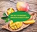 Premium Raw Mango Butter 100% Pure 1 Pound Mango Body Butter by Rachelle Parker. Best Skin Care, Moisturizer! Organic Mango Butter 16 oz (Mango)