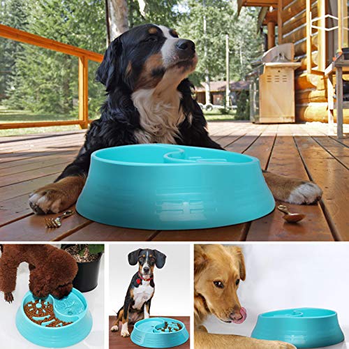 Slow Feeder Dog Bowl with Water Bowl，Dog Bowl Food and Water Bowls for