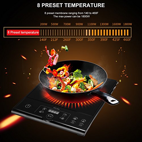 La meilleure plaque à induction portable au Canada en 2022 Comparatif