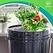 SavvyGrow DWC Hydroponics Growing System-Kit - Large 5 Gallon Bucket w/Air Pump, Airstone - Complete Hydroponic Setup for Indoor Tomatoes, Peppers, Melons, Beans - Grow Super Fast at Home (1 Bucket)