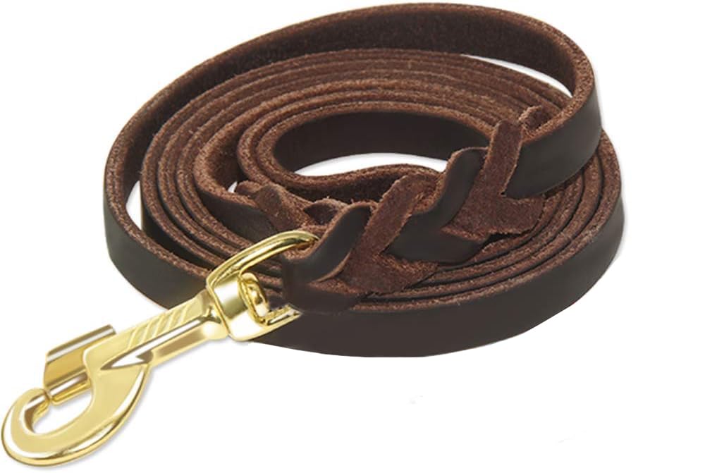 Premier 6ft Leather Dog Training Leash. Made from High Quality Leather and is a Great Option for Hunting Dogs or General Obedience in the Backyard.