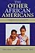 The Other African Americans: Contemporary African and Caribbean Families in the United States: Contemporary African and Caribbean Families in the United States