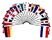 Northwest African World Flag SET-20 Polyester 4