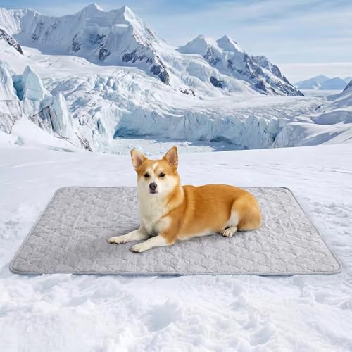 Cozy Bliss Leakproof Cooling Blanket