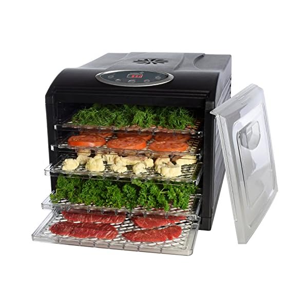 Electric Beef Jerky Countertop Food Dehydrator for a Healthy Diet