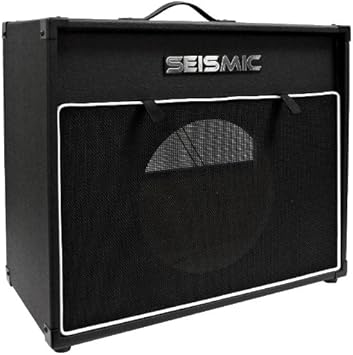 12 inch guitar cabinet