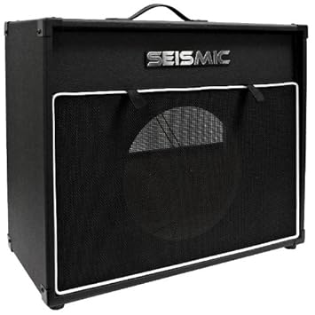 seismic guitar cab