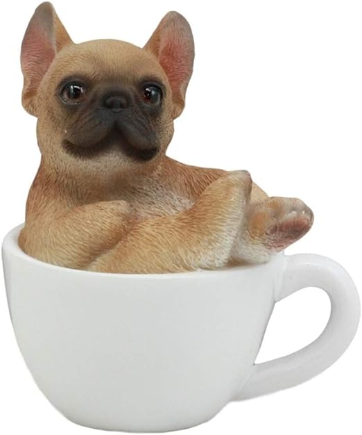 mini teacup bulldog