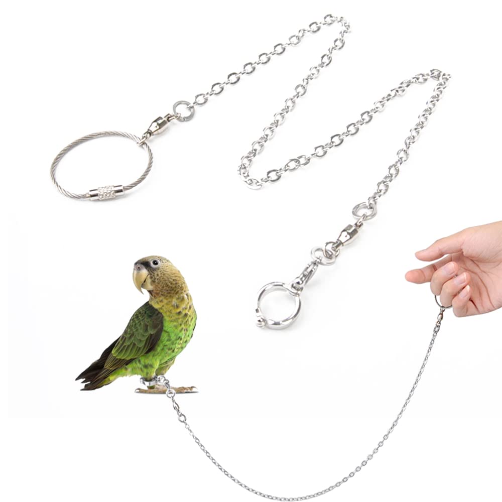 XUSUD Bird Foot Rings Stainless Steel Split Bird Rope Rings Anti-bite Bird Training Chains for Parrot or Starling Bird Pets