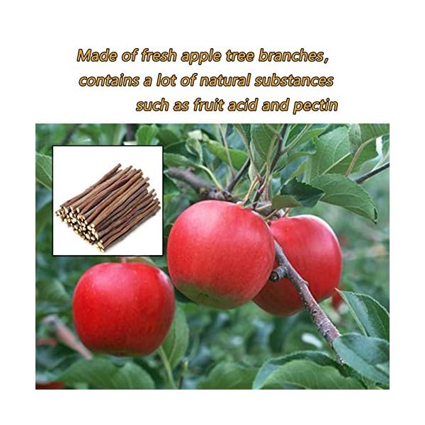 XIAO MO GU Bunny Chew Toys, 3 Types Rabbit Hamster Toys with Apple Wood Sticks Teeth Grinding Toy for Rabbits Bunny…