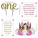 First Birthday Decorations & Party Supplies by Aliza | Monthly Milestone Banner - One Cake Topper – 1st Birthday Hat - Balloons - Pink Paper Fans – The Complete Baby Girl Party Decor Set