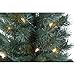 Holiday Time Christmas Decor Pre-Lit 5-Piece Entryway Set, Clear Lights
