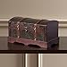 Vintiquewise(TM) Leather Wooden Chest/Trunk