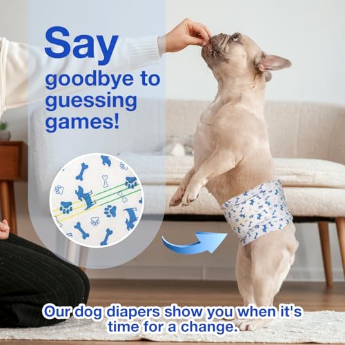 MICOOYO Disposable Male Dog Diapers, Super Absorbent Male Dog Panties, Dog Diapers with Moisture Indicator (S, Pack of 50)