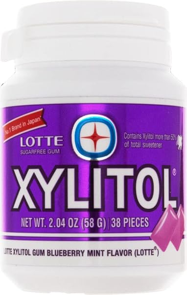 LOTTE XYLITOL BLUEBERRY MINT GUM 2.04 OZ (PACK OF 1)