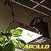 Apollo Horticulture GLRP14 1/4
