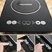 INDUXPERT Portable Electric Induction Cooktop Countertop Burner 9100 (Magnetic Cookware Only)