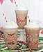 Greenhouse Compostables, Believe - Christmas Clear Cold Cups, 50 Count, 16 oz, 100% Compostable - Red Lettering With Green Holly, Christmas Holiday Party Disposable Cups