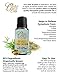 Inhale Respiratory Blend by Ovvio | Seasonal Allergy, Sinus & Congestion Relief | 100% Pure Holistic Health Essential Oils | France & Spain | 2 Pack (30ml total)