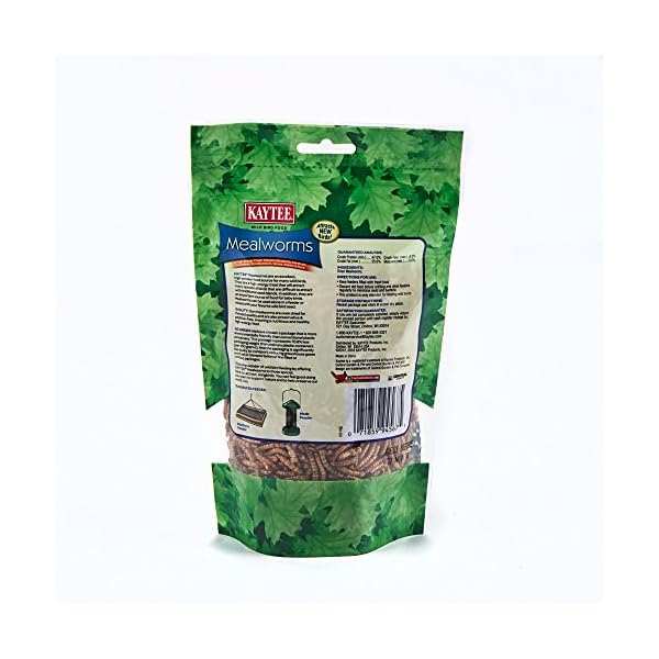 Kaytee Mealworms, 3.5 oz