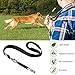 XQFI Dog Whistle with Clickers, Professional Dog Training Whistle to Stop Barking,Adjustable Pitch Ultrasonic Training Tool Silent Bark Control for Dogs, Free Premium Quality Lanyard