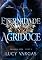 Livro Eternidade Agridoce: Até o último suspiro (ACCA Livro 3)