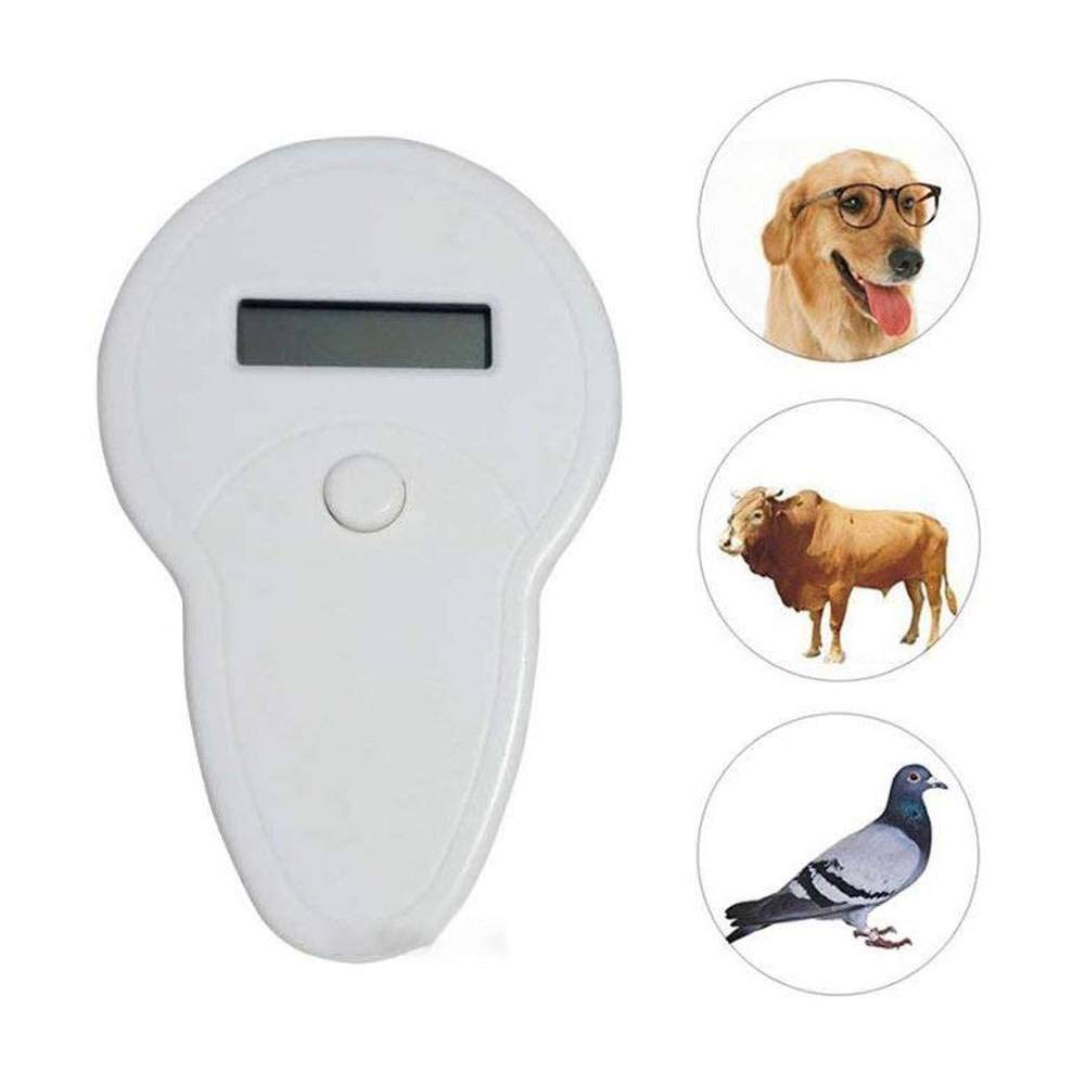 Чип для собаки с gps. Трекер для собак. Отслеживание собаки по gps. Чихуахуа трекер. Чип для собаки с gps.