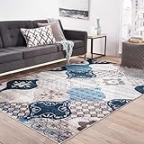 Domitapis Area Rug 5×7, Large Vintage Boho