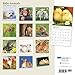 2016 BABY ANIMALS Wall Calendar