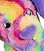 Cuddly Soft 16 inch Stuffed Rainbow Stripe Dog...We Stuff 'em...You Love 'em!