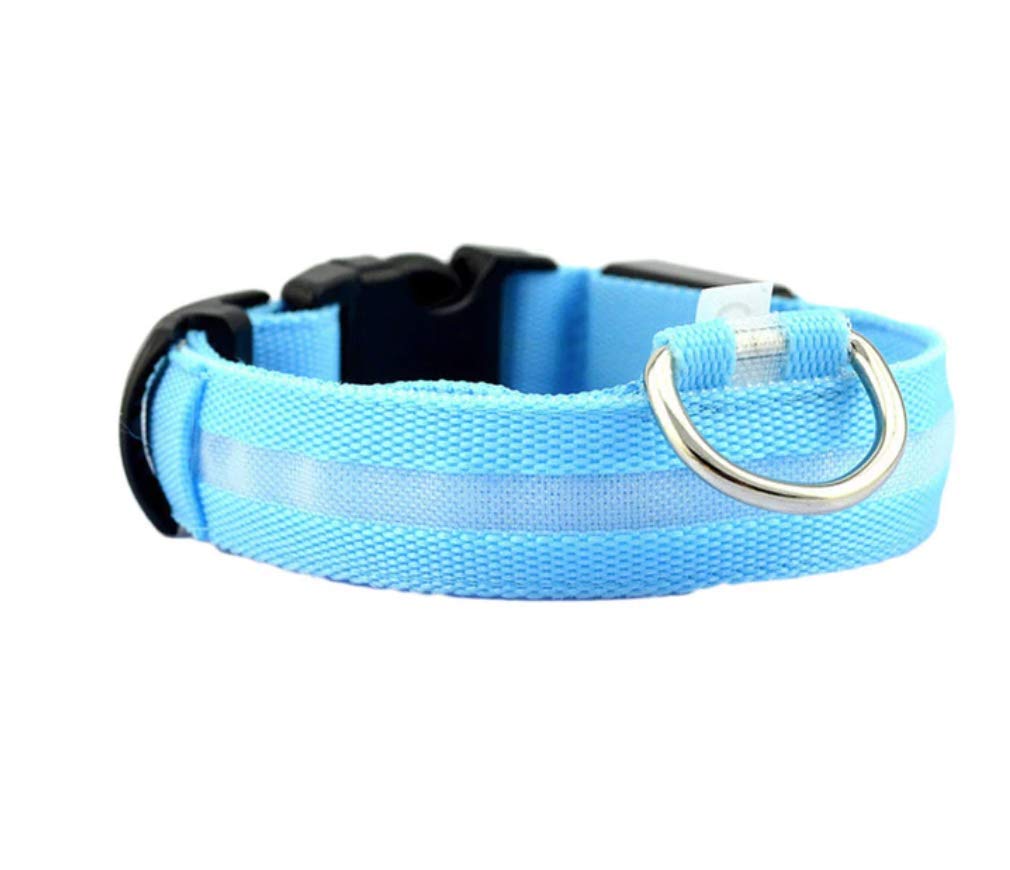 New G Line Flashing Glow In The Dark Dog Leash Waterproof Luminous Fluorescent Collars for Safety