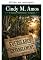 Livro Emaranhado nos Everglades
